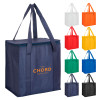 Promotional Enduro Cooler Bags
